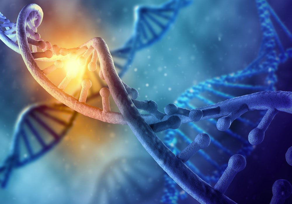 Illustration of DNA and genetics