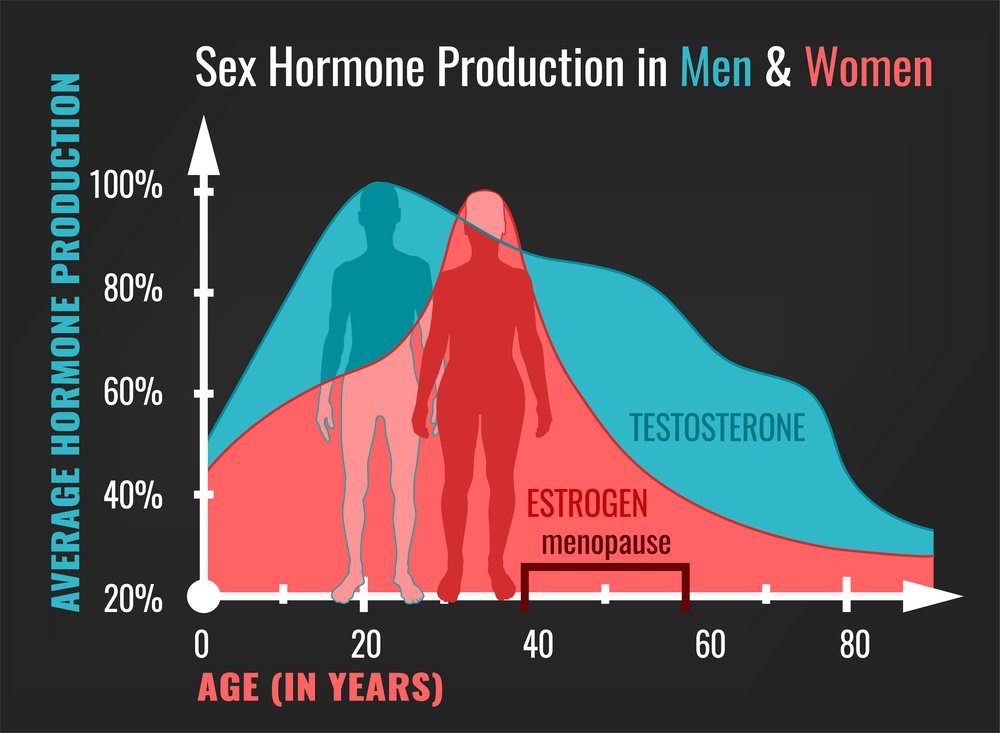 Sex hormone production in men and women. Average percentage from the birth to the age of eighty years. Beautiful vector illustration. Medical infographic useful for an educational poster graphic design.